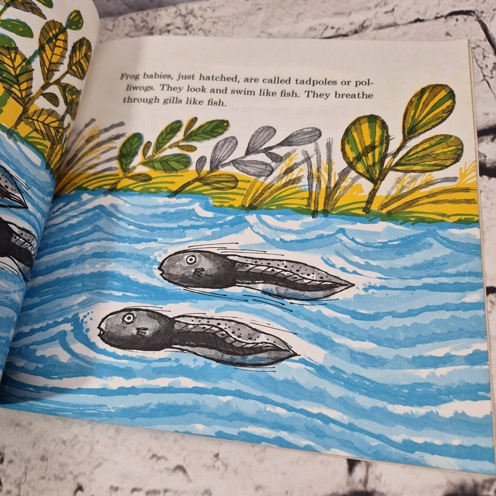 Why Frogs Are Wet by Judy Hawes 1968 Softcover Illustrated By Don Madden